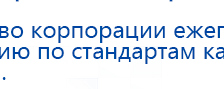 Электроды Скэнар -  двойной овал 55х90 мм купить в Златоусте, Электроды Скэнар купить в Златоусте, Нейродэнс ПКМ официальный сайт - denasdevice.ru